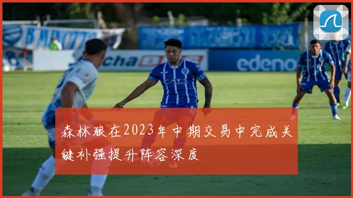 森林狼在2023年中期交易中完成关键补强提升阵容深度