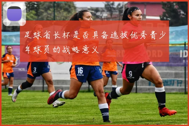 足球省长杯是否具备选拔优秀青少年球员的战略意义