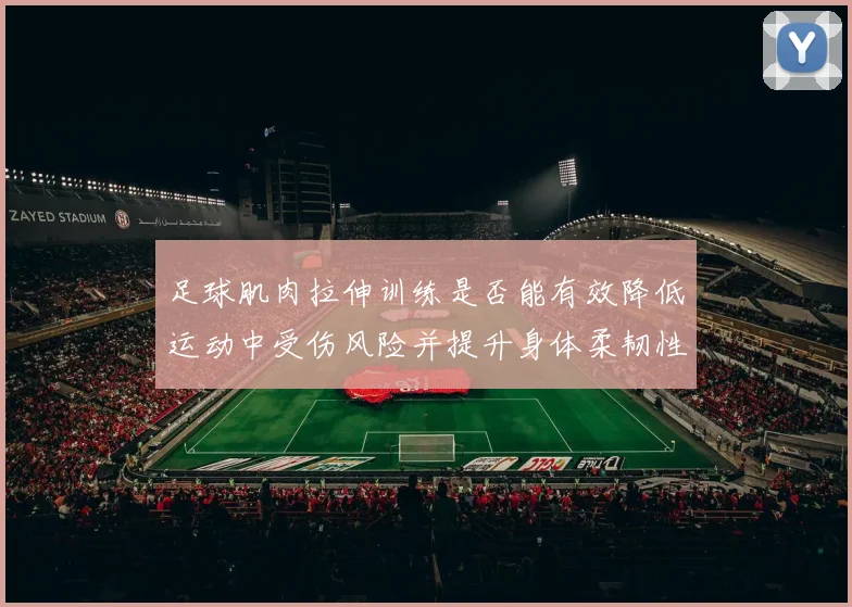 足球肌肉拉伸训练是否能有效降低运动中受伤风险并提升身体柔韧性